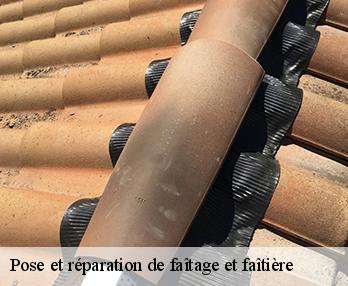 Pose et réparation de faîtage et faîtière  27220