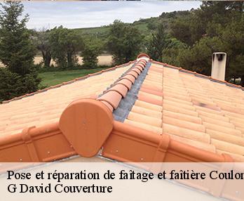 Pose et réparation de faîtage et faîtière