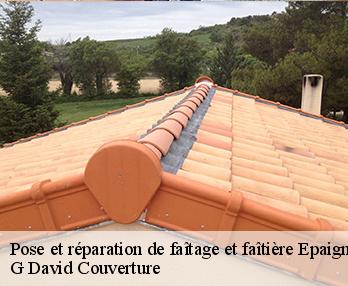 Pose et réparation de faîtage et faîtière