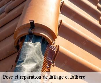 Pose et réparation de faîtage et faîtière