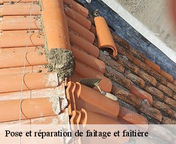 Pose et réparation de faîtage et faîtière