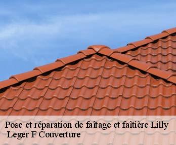 Pose et réparation de faîtage et faîtière 27480