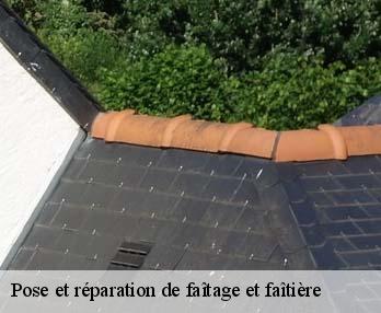 Pose et réparation de faîtage et faîtière