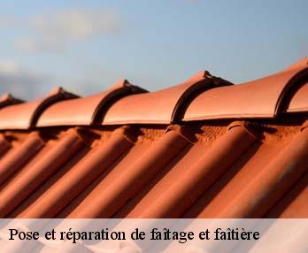 Pose et réparation de faîtage et faîtière  27290
