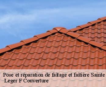 Pose et réparation de faîtage et faîtière  27500