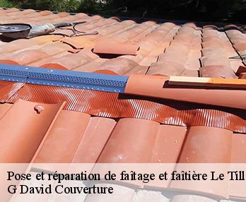 Pose et réparation de faîtage et faîtière 27170