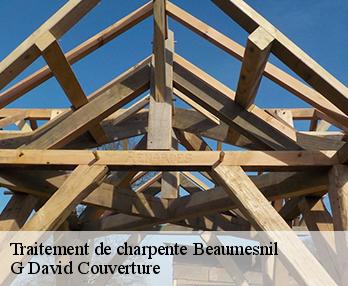 Traitement de charpente  27410
