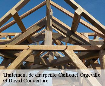 Traitement de charpente 27120