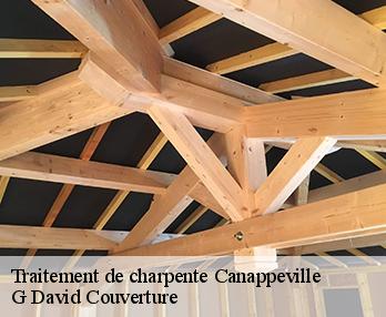 Traitement de charpente canappeville-27400 G David Couverture