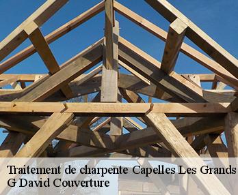 Traitement de charpente 27270