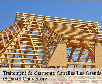 Traitement de charpente