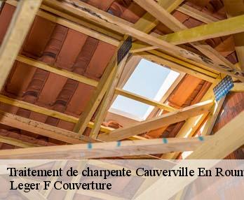Traitement de charpente  27350