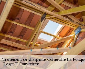 Traitement de charpente 27300