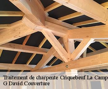 Traitement de charpente criquebeuf-la-campagne-27110 G David Couverture