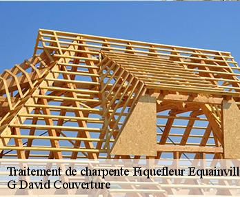 Traitement de charpente