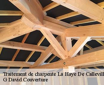 Traitement de charpente  la-haye-de-calleville-27800 G David Couverture