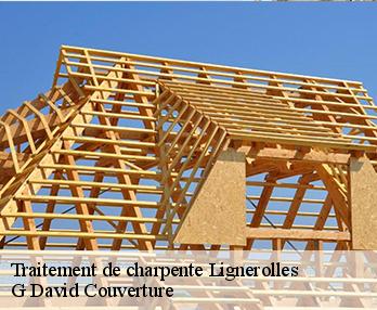 Traitement de charpente