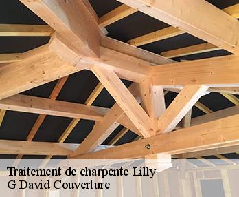 Traitement de charpente lilly-27480 G David Couverture