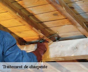 Traitement de charpente  27130