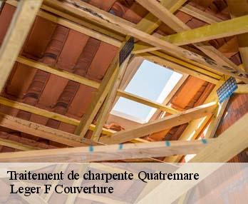 Traitement de charpente  27400