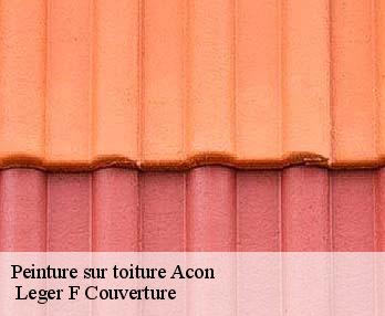 Peinture sur toiture