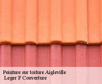 Peinture sur toiture