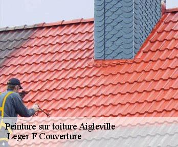 Peinture sur toiture  27120