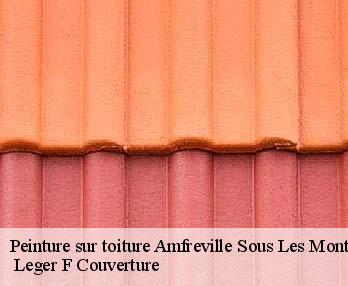 Peinture sur toiture