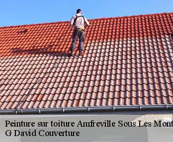 Peinture sur toiture  amfreville-sous-les-monts-27380 G David Couverture
