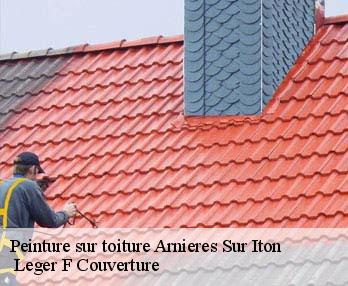 Peinture sur toiture  27180