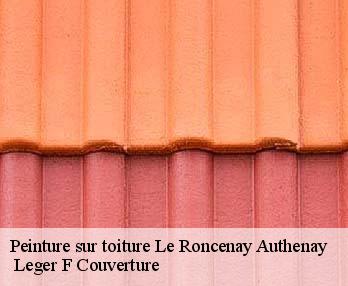 Peinture sur toiture