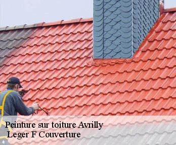Peinture sur toiture 27240