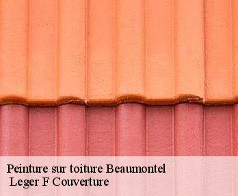 Peinture sur toiture