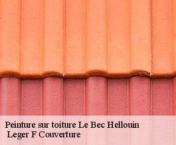 Peinture sur toiture