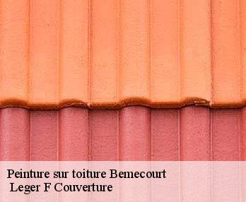 Peinture sur toiture
