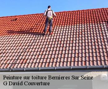 Peinture sur toiture bernieres-sur-seine-27700 G David Couverture