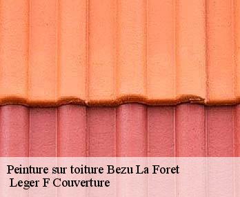 Peinture sur toiture