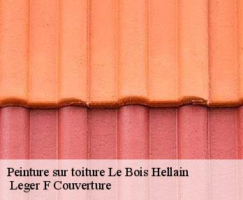 Peinture sur toiture