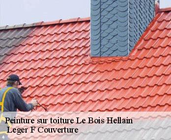 Peinture sur toiture  27260