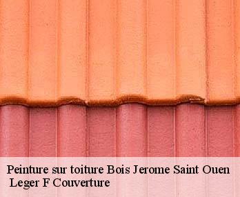 Peinture sur toiture