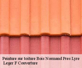 Peinture sur toiture
