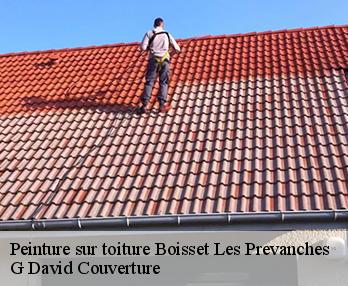 Peinture sur toiture  boisset-les-prevanches-27120 G David Couverture