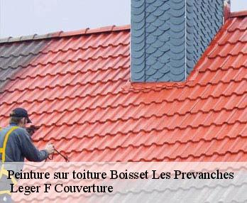 Peinture sur toiture  27120