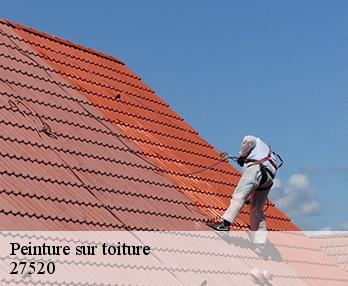 Peinture sur toiture  27520