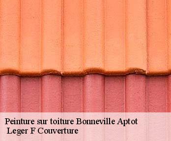 Peinture sur toiture
