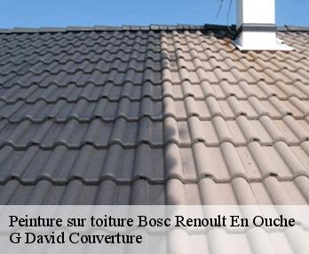 Peinture sur toiture