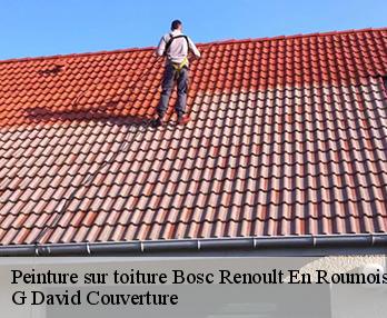 Peinture sur toiture bosc-renoult-en-roumois-27520 G David Couverture