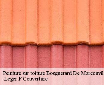Peinture sur toiture