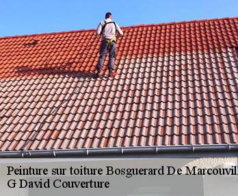 Peinture sur toiture bosguerard-de-marcouville-27520 G David Couverture