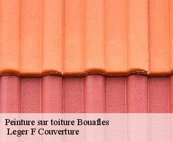 Peinture sur toiture